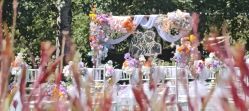 -醉库庄园·宴会厅·草坪婚礼场地