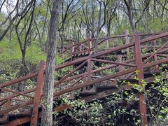 -大岭沟猕猴桃谷风景区