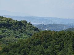 -铁山坪森林公园