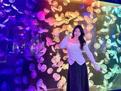 -顺德南宏海立方海洋公园