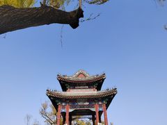 -颐和园