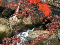 -丹东天桥沟景区