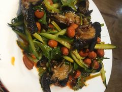 -杨氏青龙虾·羊蝎子(金盛路总店)