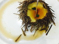 海胆蒸蛋-海岛渔村大酒店(云霄路店)