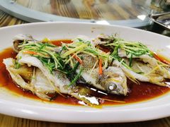 -新地休闲农场