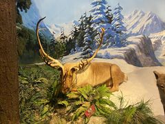 -陕西自然博物馆