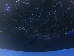 -贝林大翅鲸简餐厅(国家海洋博物馆店)