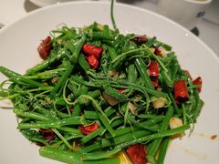 炝炒南瓜苗-花椒笑成都小馆(百脑汇店)