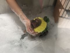 -Oh My Dog宠物沙龙(伊珊娜皮毛护理店)