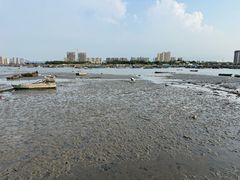 -养马岛旅游度假区