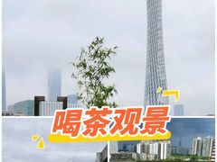 -小茶闲舍·观景商务茶馆(广州塔店)