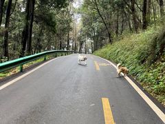 -金堂县云顶石城风景区