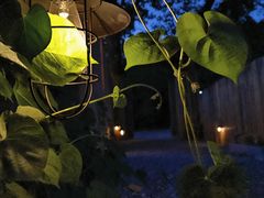 -小时光咖啡馆(开森度假森林店)