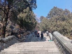 -泰山风景名胜区