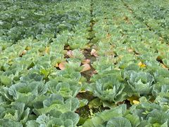 -中国天府农业博览园