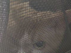 -纳吉亚猫专科动物诊疗中心(蒋宅口分院)