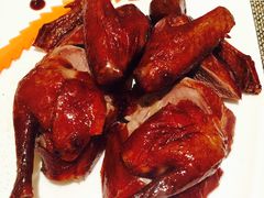 -新同乐鱼翅酒家(美丽华店)