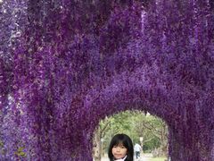 -长洲岛都市农业公园