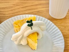 -猫里有甜