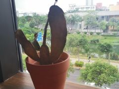 -么哈MOJAR(厦门云城万科里店)