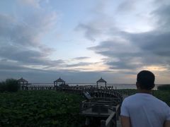 -哈素海