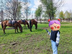 -额尔古纳黑山头绿野马帮骑马场