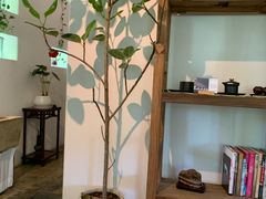 -茶肆(仙林店)