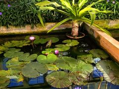 -国家植物园南园