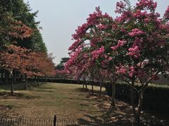 -辛亥革命博物院北区