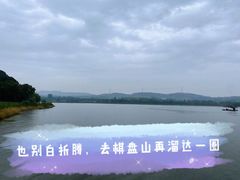 -蒲河大集