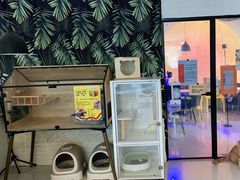 -平行世界·猫咖(首经贸店)