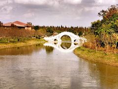 -上海海湾国家森林公园