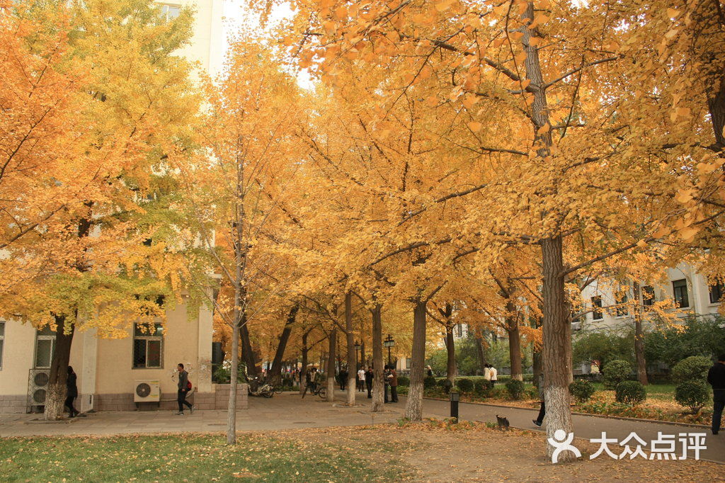 北京科技大学图片-北京大学-大众点评网