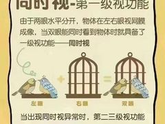 -宝视达眼镜(泌阳店)