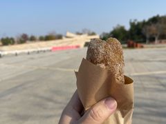 -盘龙城国家考古遗址公园