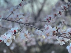 -奥林匹克森林公园北园-停车场