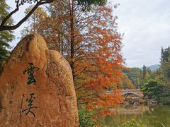 -云溪植物园