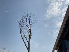 -白鹭湾湿地公园