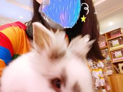 -宠物兔专门店(天丰利市场店)