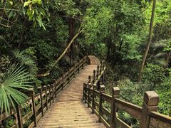 -凤栖山
