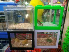 -万商花鸟市场