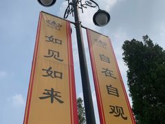 -龙口南山旅游景区