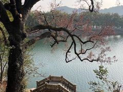 -蒋氏故居