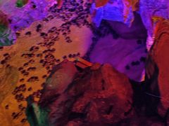 -伏牛地下河景区