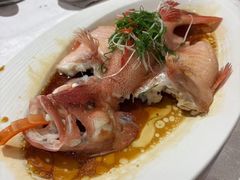 -南海渔村(珠江新城店)