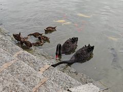 -中国农业博物馆
