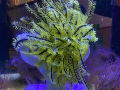 -海合安天津极地海洋公园