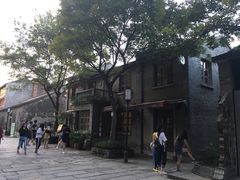 -两棵枇杷树