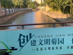 -陈家山荷花公园