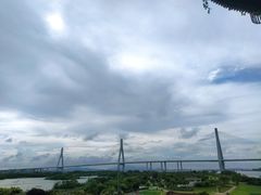 -芒洲湿地公园